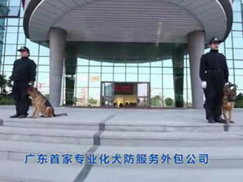 犬防