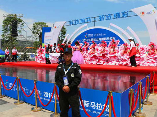 公共场所护卫